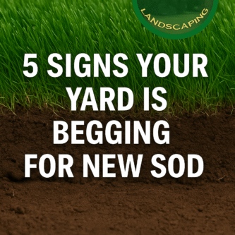 new sod installation Georgia, sod replacement Paulding County, Brooks Landscaping Dallas GA, The Dirt Doctor Blog, Zeon Zoysia sod Georgia, lawn drainage solutions GA, Georgia sod installation, yard grading services, erosion control Dallas GA, residential landscaping company Paulding County, sod installation Hiram GA, outdoor living Kennesaw GA