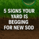 new sod installation Georgia, sod replacement Paulding County, Brooks Landscaping Dallas GA, The Dirt Doctor Blog, Zeon Zoysia sod Georgia, lawn drainage solutions GA, Georgia sod installation, yard grading services, erosion control Dallas GA, residential landscaping company Paulding County, sod installation Hiram GA, outdoor living Kennesaw GA
