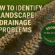 Brooks Landscaping in Dallas, Georgia explains when your yard needs a dry creek bed. Learn how The Dirt Doctor fixes standing water, erosion, and drainage failures.