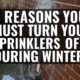 Discover the top 5 reasons homeowners in Dallas and Paulding County must turn off their sprinklers during winter. Prevent frozen pipes, lawn damage, water runoff, erosion, and costly irrigation repairs. Brooks Landscaping explains how proper winterization protects your yard and home.
