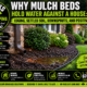 A landscape bed can look professionally finished while quietly trapping roof and yard runoff beside the house. Learn how I diagnose the grade, edging, soil, downspouts, and outlet before recommending a drainage correction. Primary keyword: mulch bed holding water against house Secondary keywords: water pooling in landscape bed, foundation perimeter drainage, negative grade around house, downspout drainage Georgia, mulch bed edging drainage, standing water by foundation, positive yard grading, Georgia clay drainage